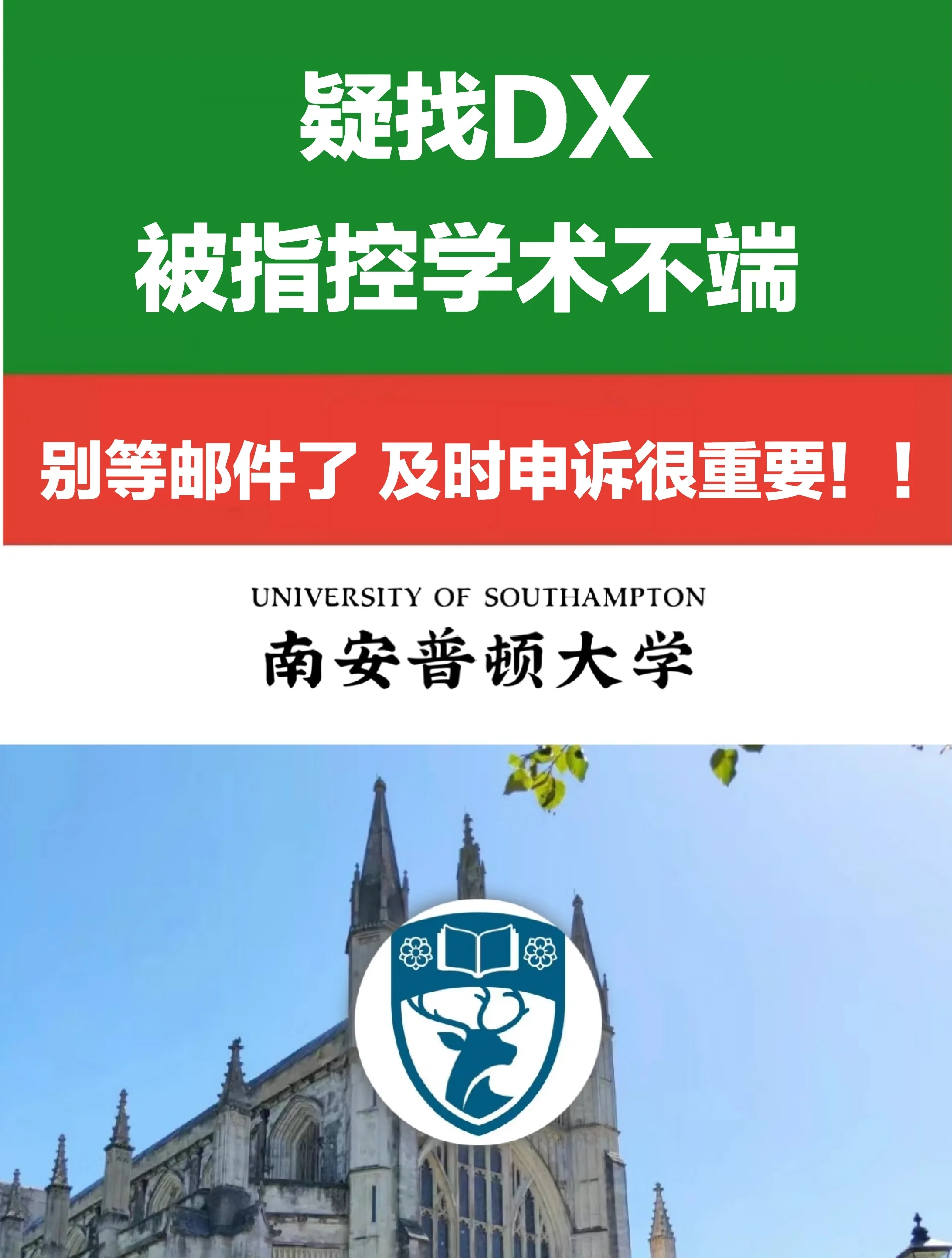 南安普顿告捷，提升保级信心(南安普顿global advertising and branding)